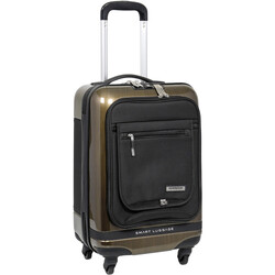 Numinous Smart 15.6” Laptop Small/Cabin 54cm Hardside Suitcase Dark Golden Brush N2000