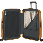 Samsonite Proxis Hardside Suitcase Set of 3 Honey Gold 26035, 26042, 26043 with FREE Memory Foam Pillow 21244 - 5